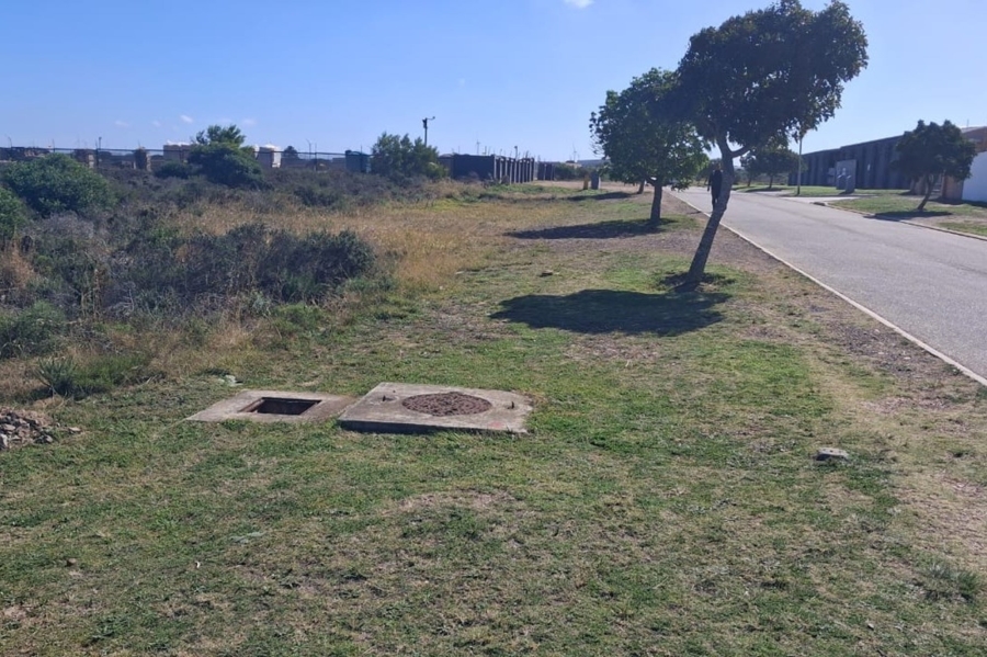 Commercial Property for Sale in Fountains Estate Eastern Cape
